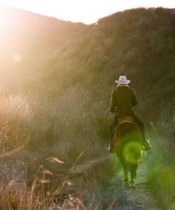 Iron & Resin All Apparel Leather Lincoln Jacket 10 Iron & Resin All Apparel Leather Lincoln Jacket