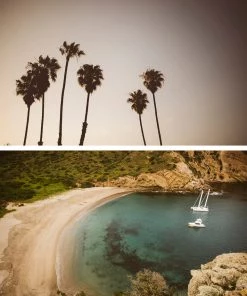 Iron & Resin Refuge Tee